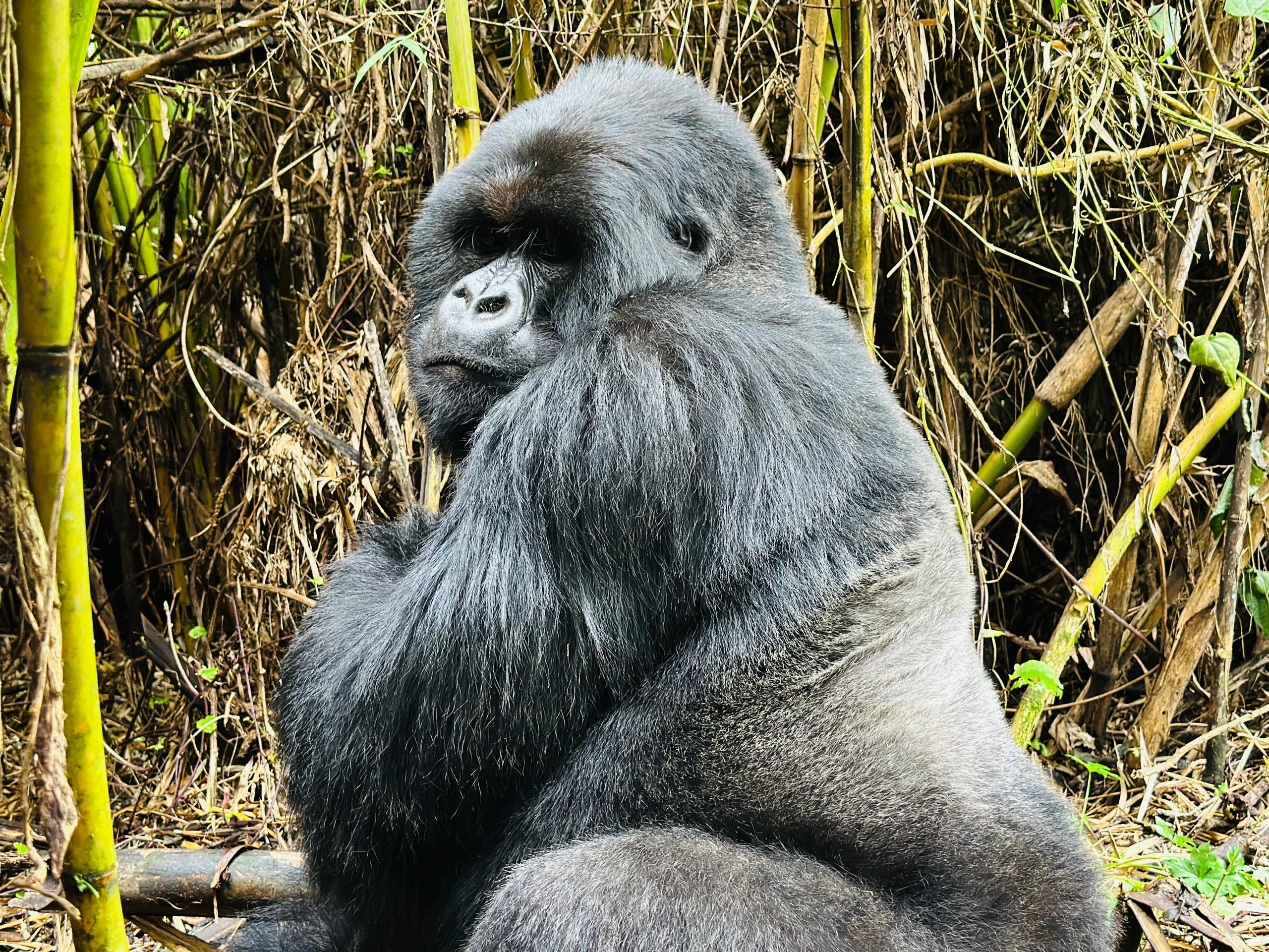 September - Cartagena, Colombia